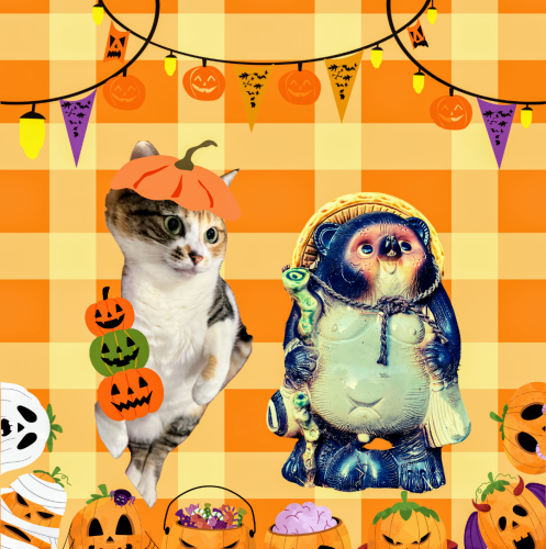オレンジ　Happy-Halloween　告知　Instagramストーリー 20241031 140952 0000